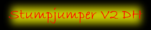 Stumpjumper V2 DH