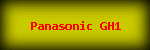 Panasonic GH1